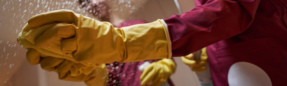 Dark-haired professional female cleaner removing drops of cleaning solution from mirrored surface